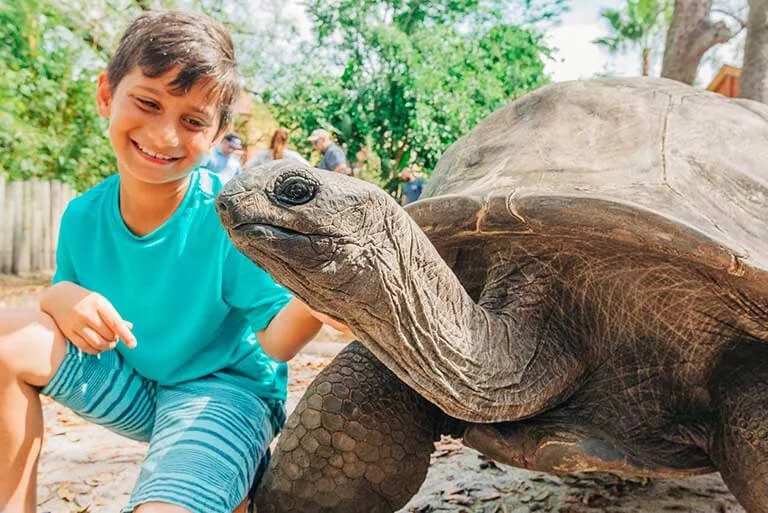 A close-up of a boy smiling beside a huge tortoise.